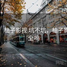 记录：柚子影视 坑不坑，柚子影视安全吗