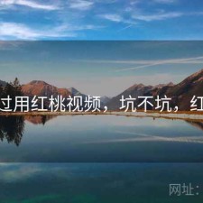折腾过用红桃视频，坑不坑，红桃12