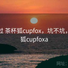 对比过 茶杯狐cupfox，坑不坑，茶杯狐cupfoxa