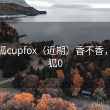 茶杯狐cupfox（近期）香不香，茶杯狐0
