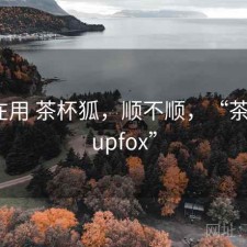 最近在用 茶杯狐，顺不顺，“茶杯狐cupfox”