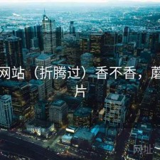 蘑菇网站（折腾过）香不香，蘑菇网片
