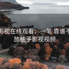 柚子影视在线观看：一笔 靠谱不，播放柚子影视视频