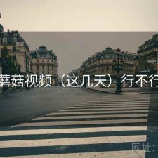 蘑菇视频（这几天）行不行