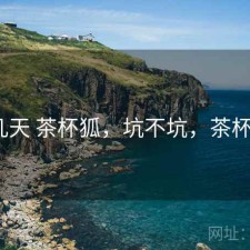 这几天 茶杯狐，坑不坑，茶杯狐a