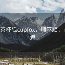 近期 茶杯狐cupfox，顺不顺，n茶杯狐