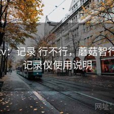 蘑菇tv：记录 行不行，蘑菇智行行车记录仪使用说明