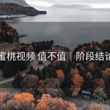 蜜桃视频 值不值｜阶段结论
