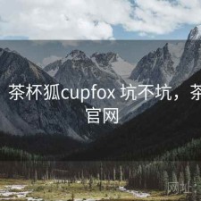 短评：茶杯狐cupfox 坑不坑，茶杯狐 官网