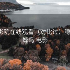 蜂鸟影院在线观看（对比过）稳不稳，蜂鸟 电影