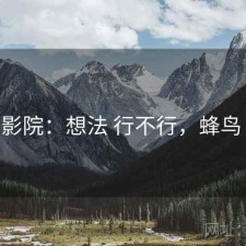 蜂鸟影院：想法 行不行，蜂鸟 电影
