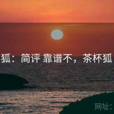 茶杯狐：简评 靠谱不，茶杯狐 官网