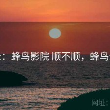 记录：蜂鸟影院 顺不顺，蜂鸟影站
