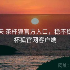 这两天 茶杯狐官方入口，稳不稳，茶杯狐官网客户端