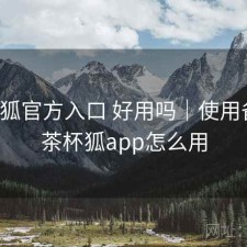 茶杯狐官方入口 好用吗｜使用备注，茶杯狐app怎么用