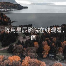 用了一阵用星辰影院在线观看，值不值