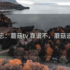 备忘：蘑菇tv 靠谱不，蘑菇追剧