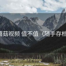 蘑菇视频 值不值（随手存档）