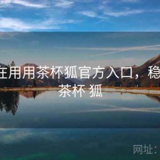 最近在用用茶杯狐官方入口，稳不稳，茶杯 狐