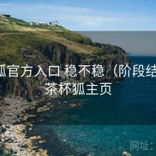 茶杯狐官方入口 稳不稳（阶段结论），茶杯狐主页