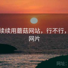 断断续续用蘑菇网站，行不行，蘑菇网片