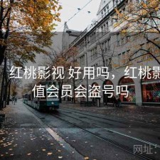 用后：红桃影视 好用吗，红桃影院充值会员会盗号吗