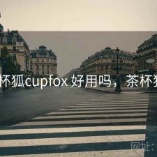茶杯狐cupfox 好用吗，茶杯狐0