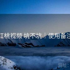 红桃视频 坑不坑｜使用备注