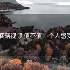 蘑菇视频 值不值｜个人感受