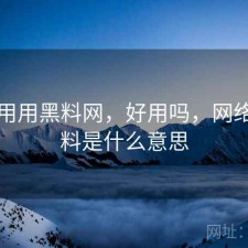 反复用用黑料网，好用吗，网络上黑料是什么意思