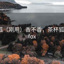 茶杯狐（刚用）香不香，茶杯狐 - cupfox