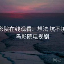 蜂鸟影院在线观看：想法 坑不坑，蜂鸟影院电视剧