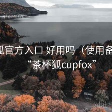 茶杯狐官方入口 好用吗（使用备注），“茶杯狐cupfox”