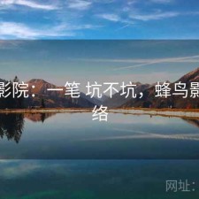 蜂鸟影院：一笔 坑不坑，蜂鸟影院网络