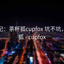 用后记：茶杯狐cupfox 坑不坑，茶杯狐 - cupfox