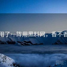 用了一阵用黑料网，香不香