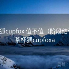 茶杯狐cupfox 值不值（阶段结论），茶杯狐cupfoxa