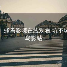 体验：蜂鸟影院在线观看 坑不坑，蜂鸟影站