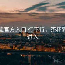 茶杯狐官方入口 行不行，茶杯狐官网进入