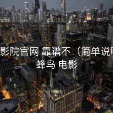 蜂鸟影院官网 靠谱不（简单说明），蜂鸟 电影