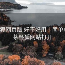 茶杯狐网页版 好不好用｜简单总结，茶杯狐网站打开