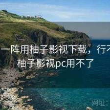 用了一阵用柚子影视下载，行不行，柚子影视pc用不了