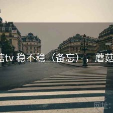 蘑菇tv 稳不稳（备忘），蘑菇zt2
