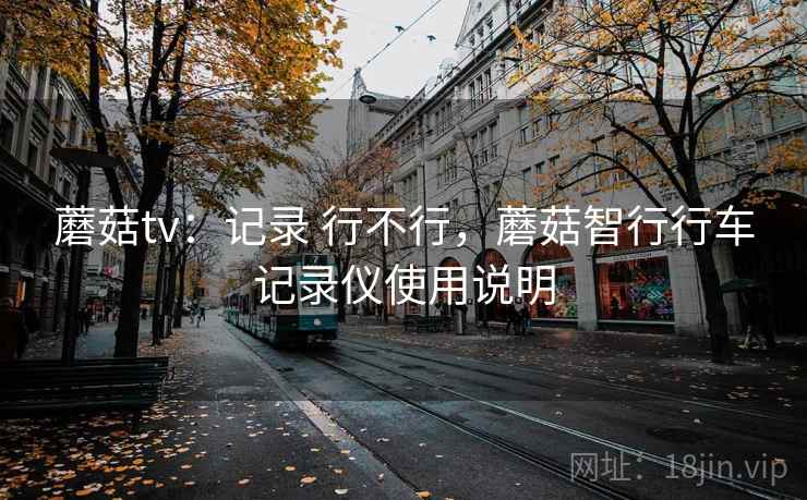 蘑菇tv:记录 行不行,蘑菇智行行车记录仪使用说明 第1张 蘑菇tv:记录 行不行,蘑菇智行行车记录仪使用说明 第1张