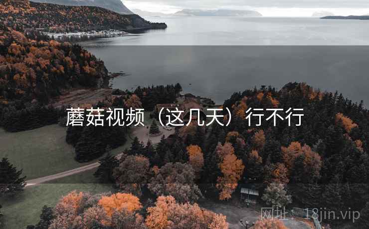 蘑菇视频(这几天)行不行 第2张 蘑菇视频(这几天)行不行 第2张